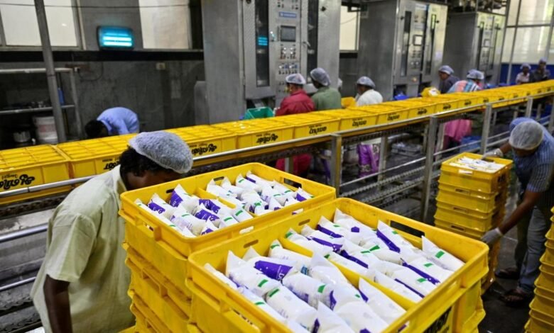 Extreme heat tests India's record milk production