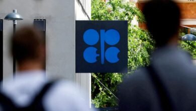 OPEC+ to make small oil output quota hike for July