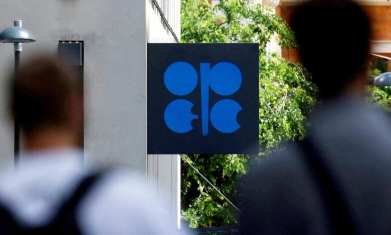 OPEC+ to make small oil output quota hike for July