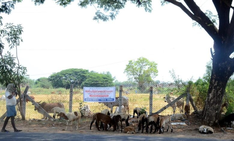 Telangana reels under scorching heat, 45℃ mark breached in four Districts