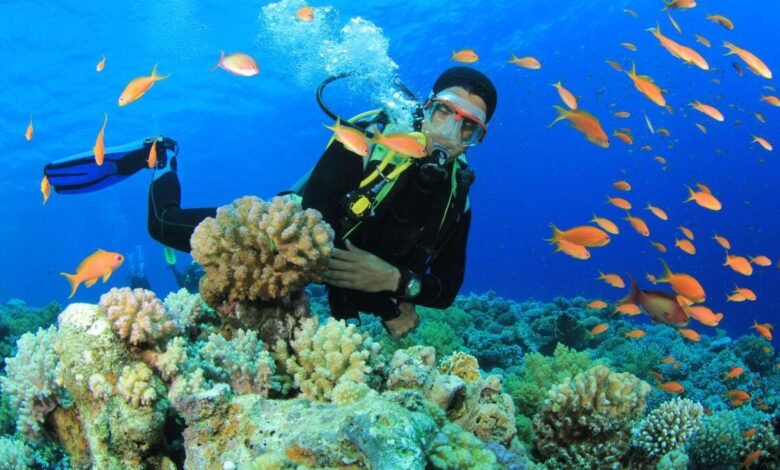 World Oceans Day 2026: How diving is changing lives in Andaman’s Karen and Ranchi communities