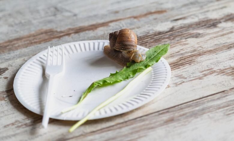 Slow consumption is the new cool