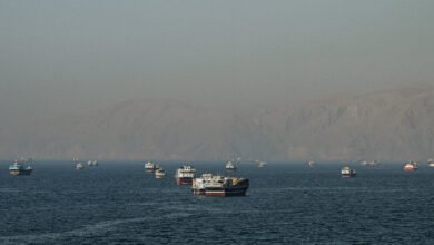 War Games and Warnings on Strait of Hormuz Went Unheeded by Trump